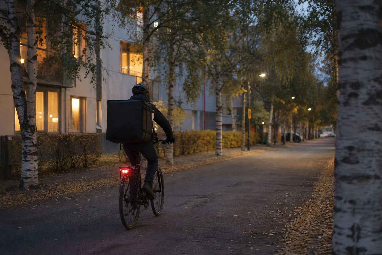 Illustrativ kvällsbild av en universitetsstad med björkar och en cyklist med leveransväska